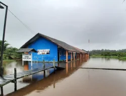 Banjir Rob di Lampuyang, Warga Panik Buaya Besar Muncul di Depan Sekolah