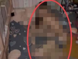 Viral Video Mesum di Kotim, Diduga Pelajar Jadi Pemeran