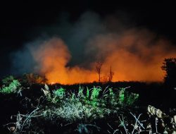 Kebakaran Lahan di Belakang Aqui Sampit Diduga Ulah Sengaja, Api Nyaris Jilat Permukiman